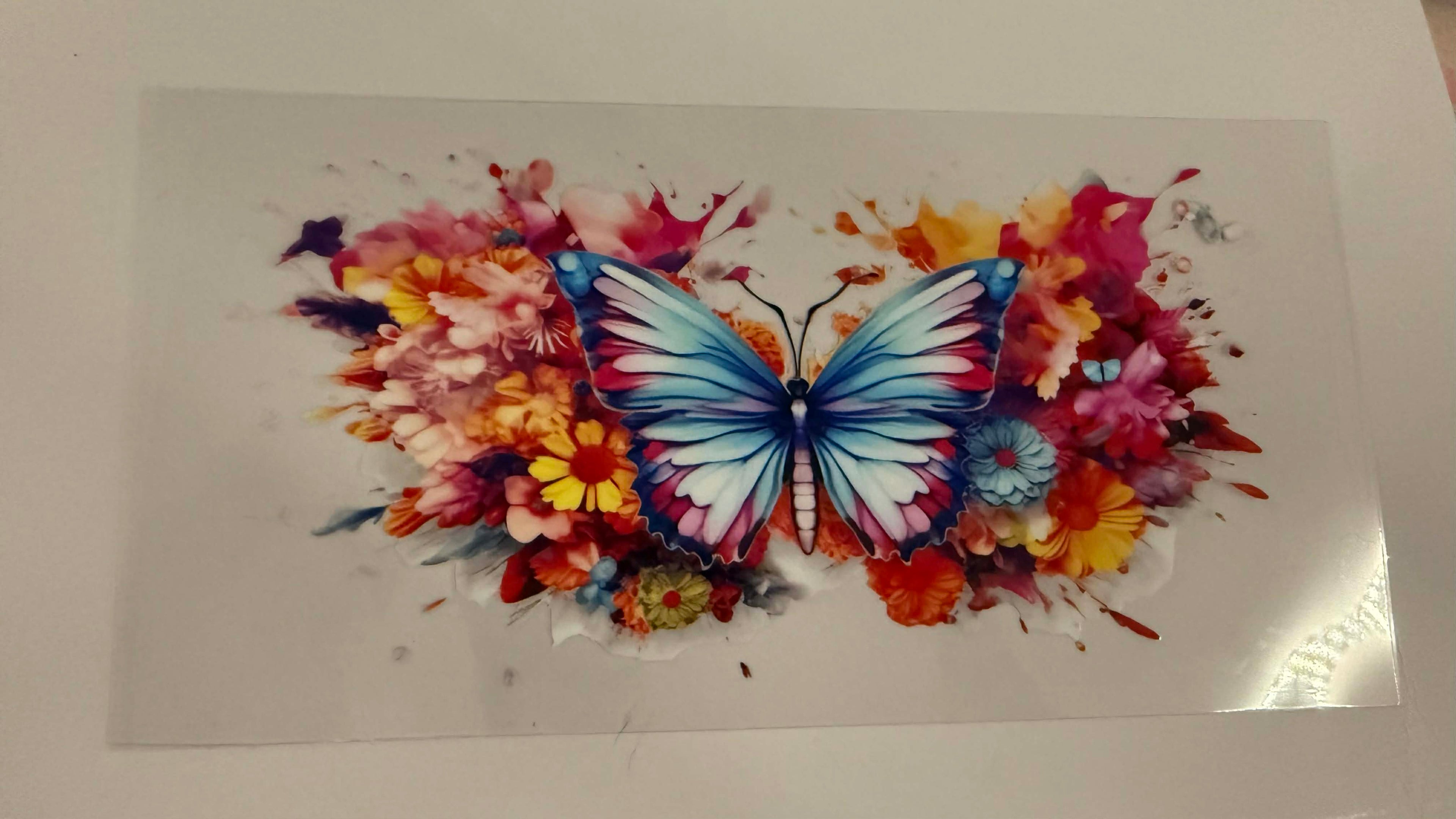 butterfly 3